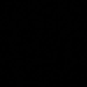 Meet your Posher, Ines